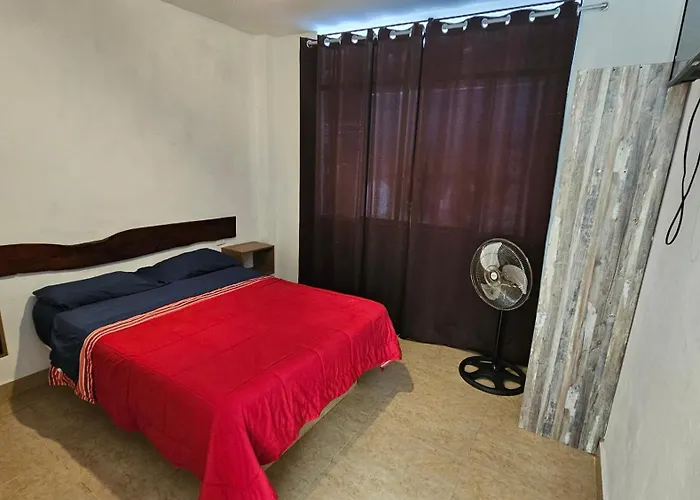 Carola Lodge